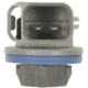 Purchase Top-Quality Rear Side Marker Light Socket by BLUE STREAK (HYGRADE MOTOR) - S923 pa29