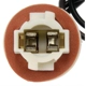 Purchase Top-Quality DORMAN/TECHOICE - 645-573 - Multi-Purpose Light Socket pa2