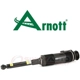 Purchase Top-Quality Rear Strut by ARNOTT - SK2461 pa1