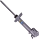 Purchase Top-Quality BILSTEIN - 22-328380 - Suspension Strut Assembly pa1