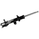 Purchase Top-Quality FCS AUTOMOTIVE - 331616L - Suspension Strut Assembly pa1