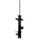 Purchase Top-Quality FCS AUTOMOTIVE - 334079L - Suspension Strut pa1