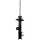 Purchase Top-Quality FCS AUTOMOTIVE - 334079R - Suspension Strut pa1