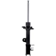 Purchase Top-Quality FCS AUTOMOTIVE - 334079R - Suspension Strut pa5