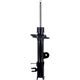 Purchase Top-Quality FCS AUTOMOTIVE - 334146L - Suspension Strut pa1