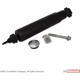 Purchase Top-Quality Rear Strut by MOTORCRAFT - AST223 pa1