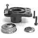 Purchase Top-Quality Rear Strut Mount by WESTAR INDUSTRIES - ST3900 pa1