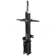 Purchase Top-Quality Rear Strut by TRANSIT WAREHOUSE - 78-72385 pa2