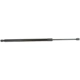 Purchase Top-Quality Rear Tailgate Lift by SHERMAN PARTS - CHCHER14A-139GR pa3