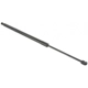 Purchase Top-Quality Rear Tailgate Lift by SHERMAN PARTS - CHCHER14A-139GR pa4