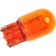 Purchase Top-Quality Rear Turn Signal by ACDELCO - 13596817 pa1