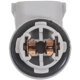 Purchase Top-Quality BLUE STREAK (HYGRADE MOTOR) - S2648 - Rear Turn Signal Light Socket pa4