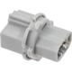 Purchase Top-Quality Rear Turn Signal Light Socket by BLUE STREAK (HYGRADE MOTOR) - S2661 pa3