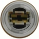 Purchase Top-Quality Rear Turn Signal Light Socket by BLUE STREAK (HYGRADE MOTOR) - HP3805 pa13