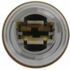 Purchase Top-Quality Rear Turn Signal Light Socket by BLUE STREAK (HYGRADE MOTOR) - HP3805 pa17