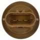 Purchase Top-Quality Rear Turn Signal Light Socket by BLUE STREAK (HYGRADE MOTOR) - HP3805 pa19