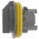 Purchase Top-Quality Rear Turn Signal Light Socket by BLUE STREAK (HYGRADE MOTOR) - HP3825 pa18