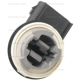 Purchase Top-Quality Rear Turn Signal Light Socket by BLUE STREAK (HYGRADE MOTOR) - HP3885 pa3
