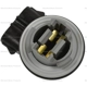 Purchase Top-Quality Rear Turn Signal Light Socket by BLUE STREAK (HYGRADE MOTOR) - HP4125 pa2