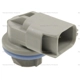 Purchase Top-Quality Rear Turn Signal Light Socket by BLUE STREAK (HYGRADE MOTOR) - HP4245 pa1