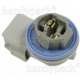 Purchase Top-Quality Rear Turn Signal Light Socket by BLUE STREAK (HYGRADE MOTOR) - HP4245 pa10