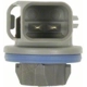 Purchase Top-Quality Rear Turn Signal Light Socket by BLUE STREAK (HYGRADE MOTOR) - HP4245 pa15