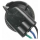 Purchase Top-Quality Rear Turn Signal Light Socket by BLUE STREAK (HYGRADE MOTOR) - HP4680 pa24