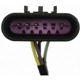 Purchase Top-Quality Rear Turn Signal Light Socket by BLUE STREAK (HYGRADE MOTOR) - S2286 pa12