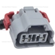 Purchase Top-Quality Rear Turn Signal Light Socket by BLUE STREAK (HYGRADE MOTOR) - S2389 pa5