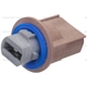 Purchase Top-Quality Rear Turn Signal Light Socket by BLUE STREAK (HYGRADE MOTOR) - S2390 pa1
