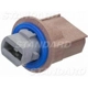 Purchase Top-Quality Rear Turn Signal Light Socket by BLUE STREAK (HYGRADE MOTOR) - S2390 pa12