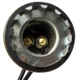 Purchase Top-Quality Rear Turn Signal Light Socket by BLUE STREAK (HYGRADE MOTOR) - S29 pa3