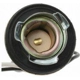 Purchase Top-Quality Rear Turn Signal Light Socket by BLUE STREAK (HYGRADE MOTOR) - S501 pa21