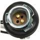 Purchase Top-Quality Rear Turn Signal Light Socket by BLUE STREAK (HYGRADE MOTOR) - S504 pa22