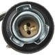 Purchase Top-Quality Rear Turn Signal Light Socket by BLUE STREAK (HYGRADE MOTOR) - S505 pa16