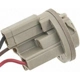 Purchase Top-Quality Rear Turn Signal Light Socket by BLUE STREAK (HYGRADE MOTOR) - S512 pa20