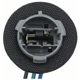 Purchase Top-Quality Rear Turn Signal Light Socket by BLUE STREAK (HYGRADE MOTOR) - S548 pa12
