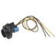 Purchase Top-Quality Rear Turn Signal Light Socket by BLUE STREAK (HYGRADE MOTOR) - S559 pa11