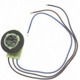 Purchase Top-Quality Rear Turn Signal Light Socket by BLUE STREAK (HYGRADE MOTOR) - S584 pa19