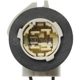 Purchase Top-Quality Rear Turn Signal Light Socket by BLUE STREAK (HYGRADE MOTOR) - S586 pa9