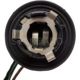 Purchase Top-Quality Rear Turn Signal Light Socket by BLUE STREAK (HYGRADE MOTOR) - S59 pa1