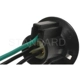 Purchase Top-Quality Rear Turn Signal Light Socket by BLUE STREAK (HYGRADE MOTOR) - S600A pa15
