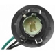 Purchase Top-Quality Rear Turn Signal Light Socket by BLUE STREAK (HYGRADE MOTOR) - S600A pa18