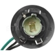 Purchase Top-Quality Rear Turn Signal Light Socket by BLUE STREAK (HYGRADE MOTOR) - S600A pa19