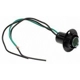 Purchase Top-Quality Rear Turn Signal Light Socket by BLUE STREAK (HYGRADE MOTOR) - S600A pa21