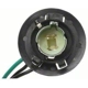 Purchase Top-Quality Rear Turn Signal Light Socket by BLUE STREAK (HYGRADE MOTOR) - S600A pa22