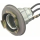 Purchase Top-Quality Rear Turn Signal Light Socket by BLUE STREAK (HYGRADE MOTOR) - S69 pa18