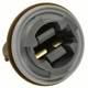 Purchase Top-Quality Rear Turn Signal Light Socket by BLUE STREAK (HYGRADE MOTOR) - S808 pa19