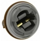 Purchase Top-Quality Rear Turn Signal Light Socket by BLUE STREAK (HYGRADE MOTOR) - S808 pa23