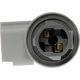 Purchase Top-Quality DORMAN - 645-693 - 2 Wire Lighting Socket pa3